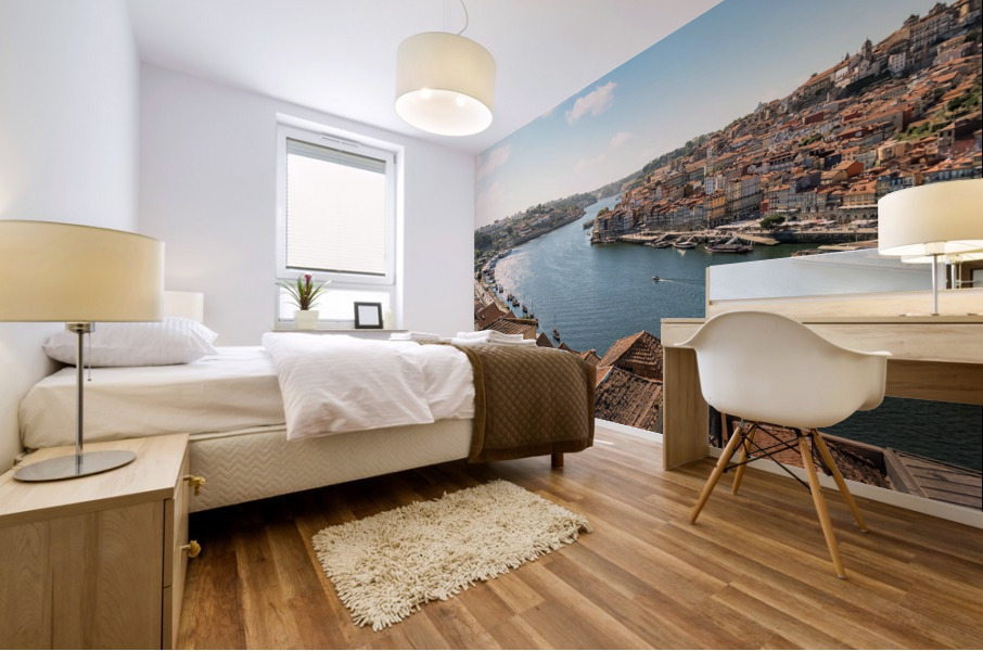 Douro River Mural print