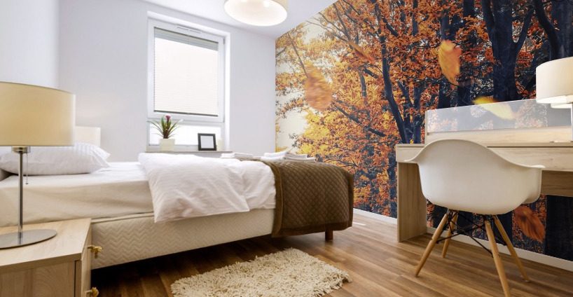 Autumn Light Mural print