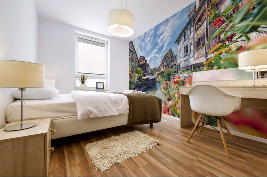 Colmar city Mural print