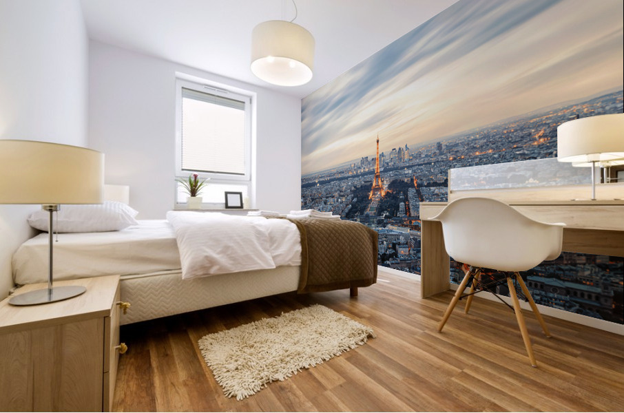 Paris Evening Mural print