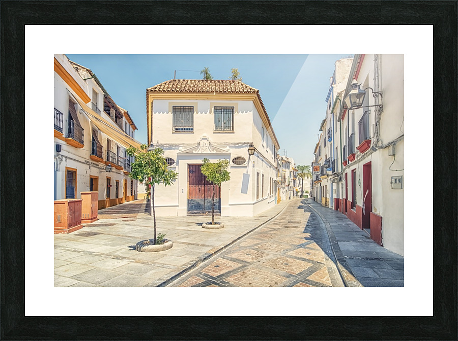 41°c Picture Frame print