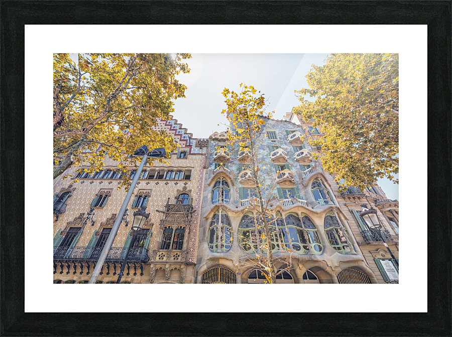 Casa Batllo Picture Frame print