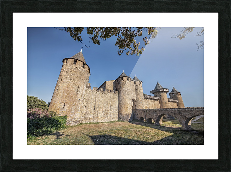  Comtal castle Picture Frame print
