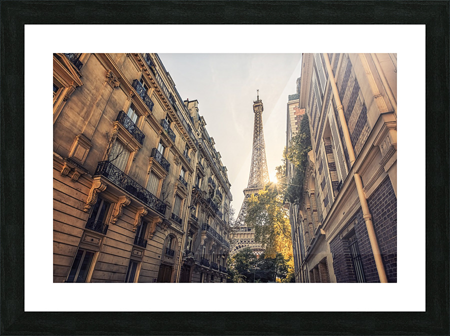 Parisian view Picture Frame print
