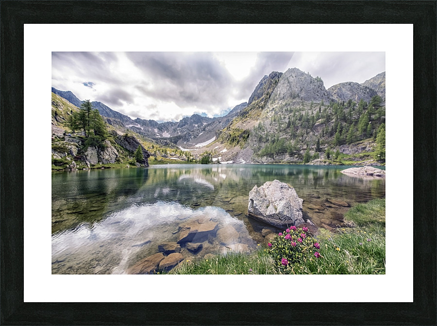 Trecolpas Picture Frame print
