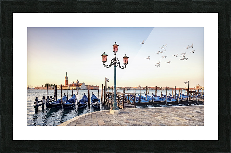 Birds flight Picture Frame print