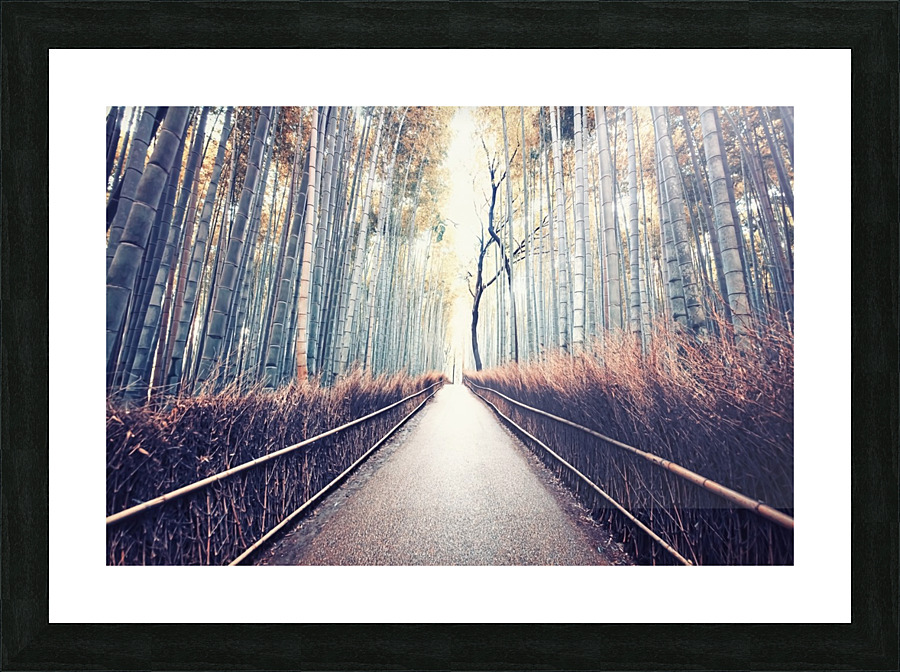 Hidden Kyoto Picture Frame print