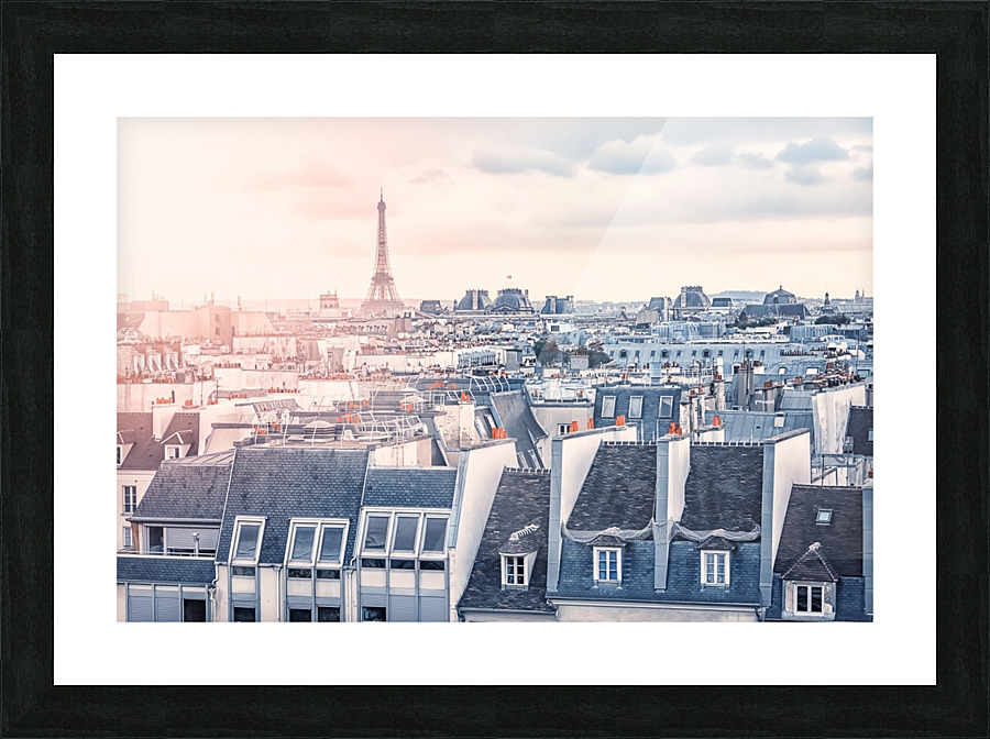 Paris roofs Picture Frame print