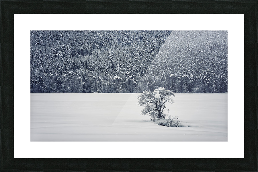 Winter is coming Picture Frame print