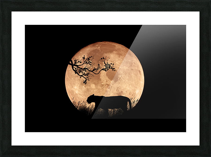 Full Moon Picture Frame print