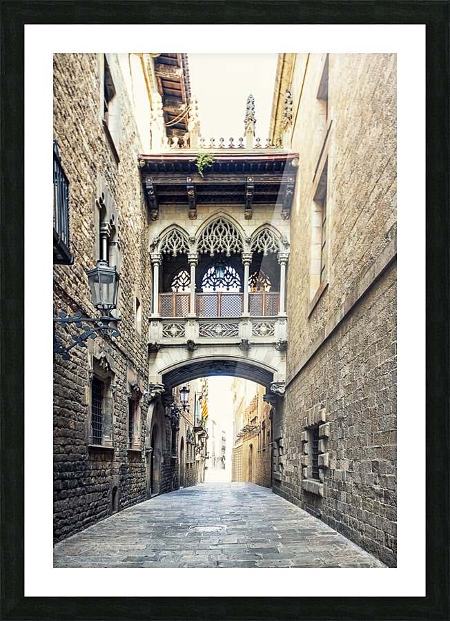 Pont del Bisbe Picture Frame print