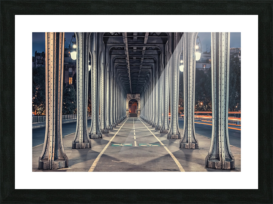 Bir-Hakeim Bridge Picture Frame print