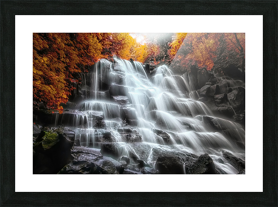 Into the forest Picture Frame print