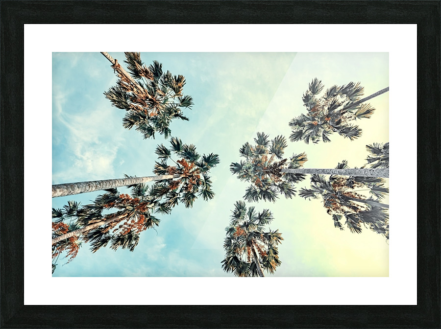 Palm trees Picture Frame print
