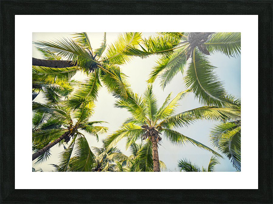  Tropical vibe Picture Frame print