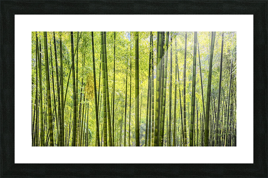 Bamboo Wall Picture Frame print