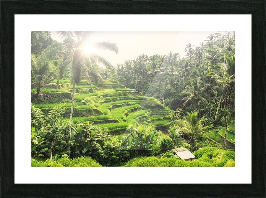 Tegalalang Picture Frame print