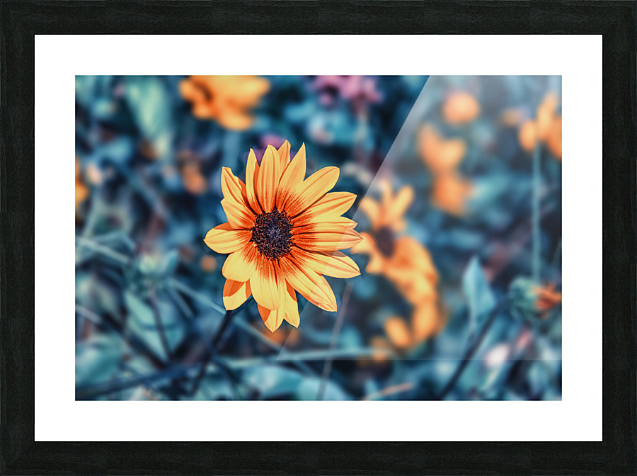 Flower Bed Picture Frame print