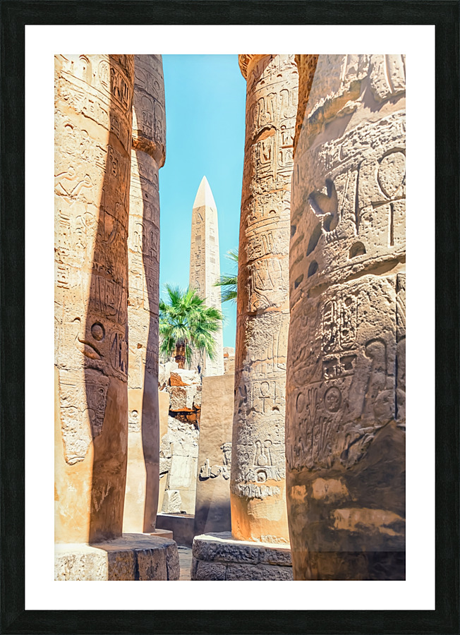 Temple Visit Picture Frame print
