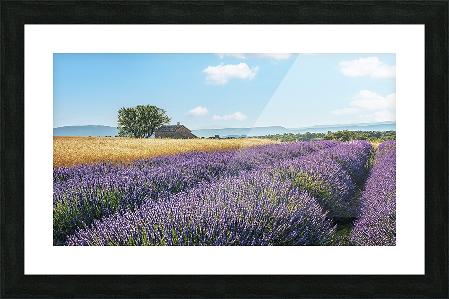 French Countryside Picture Frame print