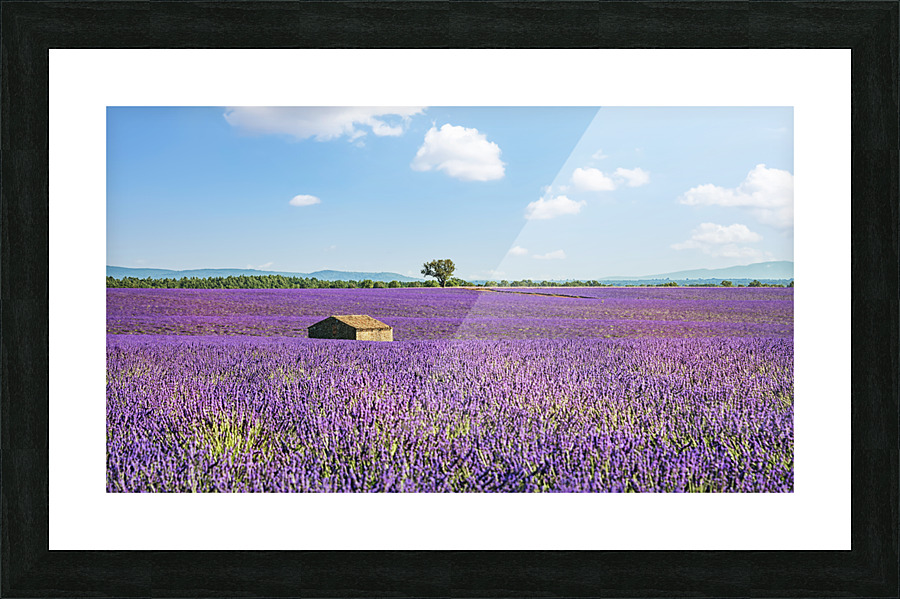 Cabin With A View Picture Frame print