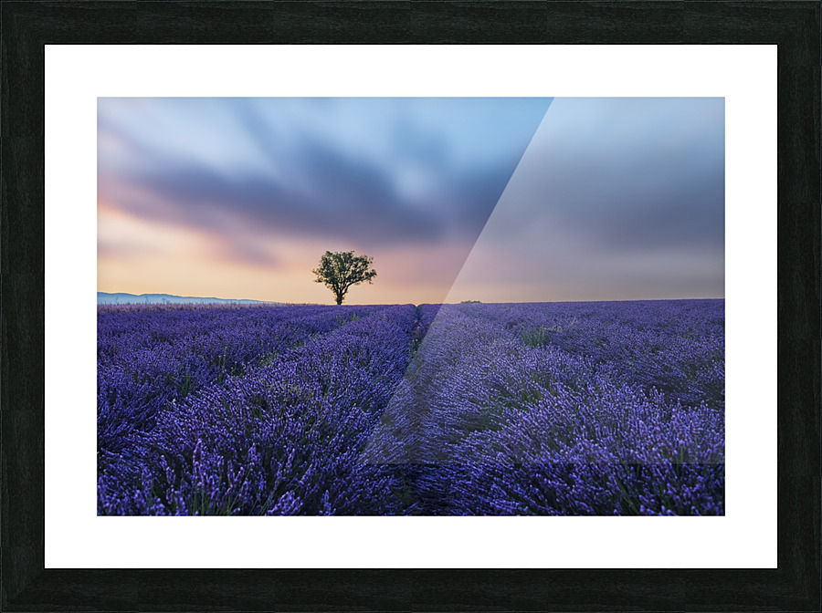 Valensole Sunset Picture Frame print