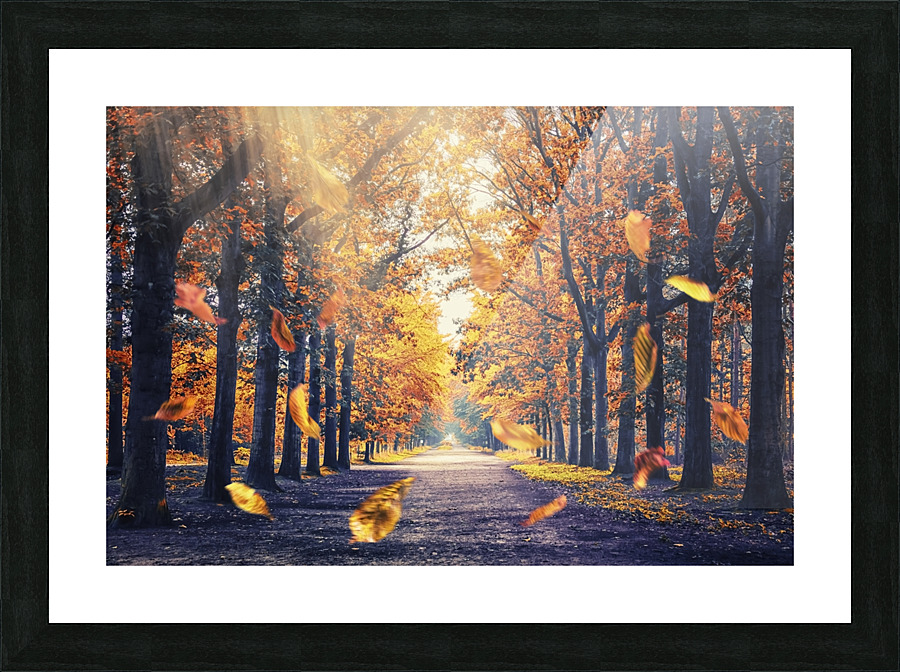 Autumn Light Picture Frame print