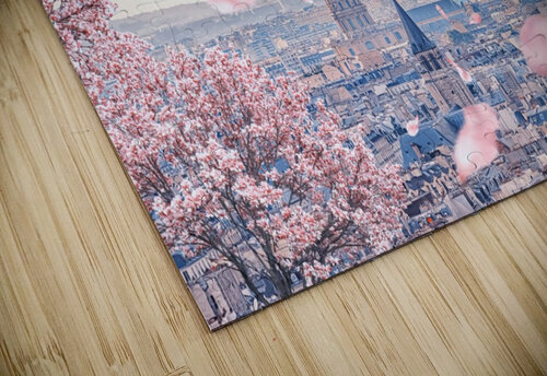  French sakura Manjik Pictures puzzle