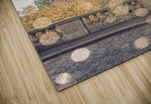  Beautiful Paris Manjik Pictures puzzle