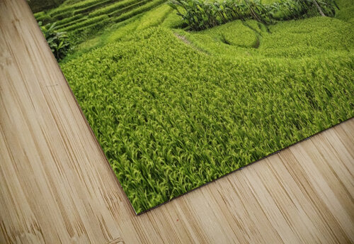 Tegallalang Manjik Pictures puzzle