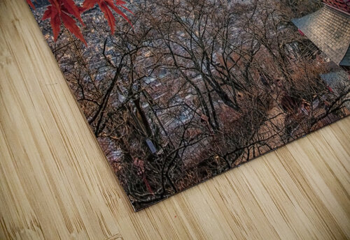 Chureito Manjik Pictures puzzle