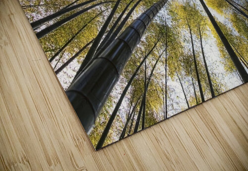 Bamboo forest Manjik Pictures puzzle