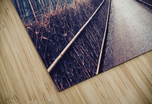 Hidden Kyoto Manjik Pictures puzzle