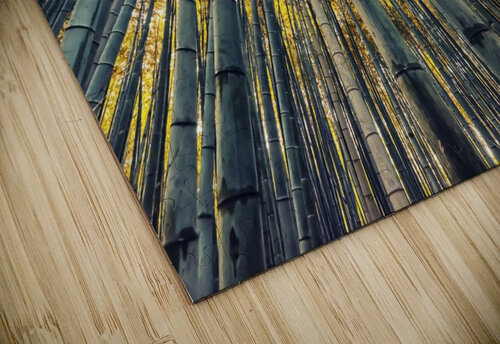 Bamboo grove Manjik Pictures puzzle