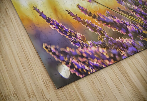 Sparkling lavender Manjik Pictures puzzle