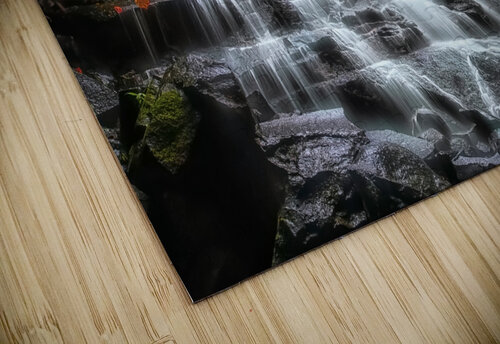 Into the forest Manjik Pictures puzzle
