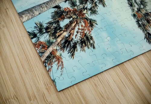 Palm trees Manjik Pictures puzzle