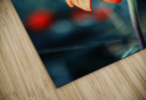 Orange Gazania Manjik Pictures puzzle