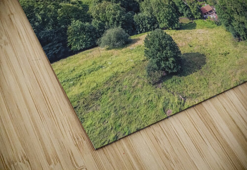 Heidelberg Manjik Pictures puzzle