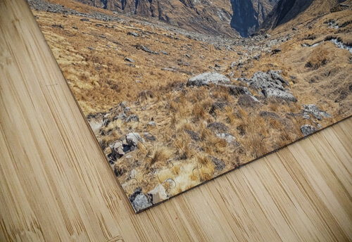 The Way Down Manjik Pictures puzzle