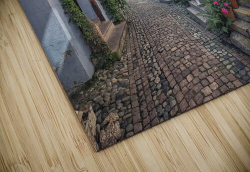 Eguisheim Street Manjik Pictures puzzle