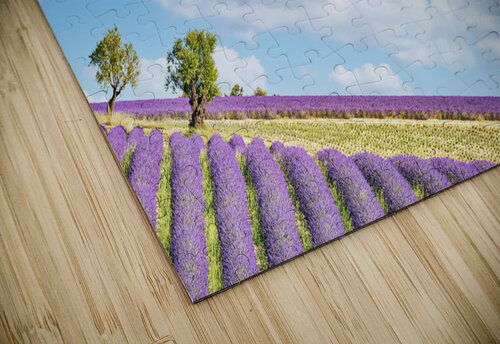 Summer In Provence Manjik Pictures puzzle