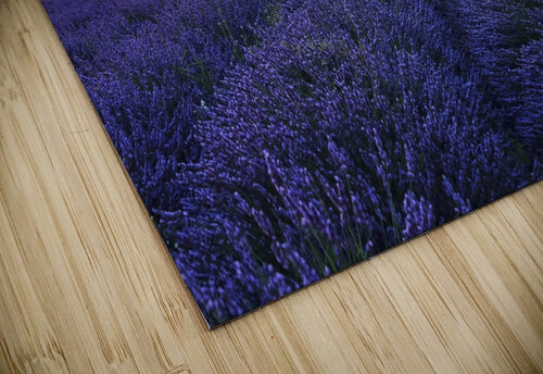 Valensole Sunset Manjik Pictures puzzle