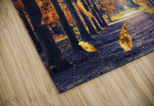 Autumn Light Manjik Pictures puzzle