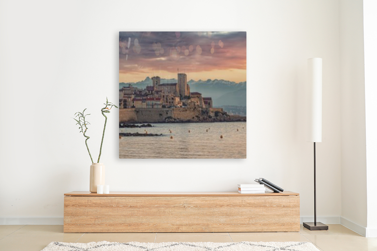 Antibes Reproduction