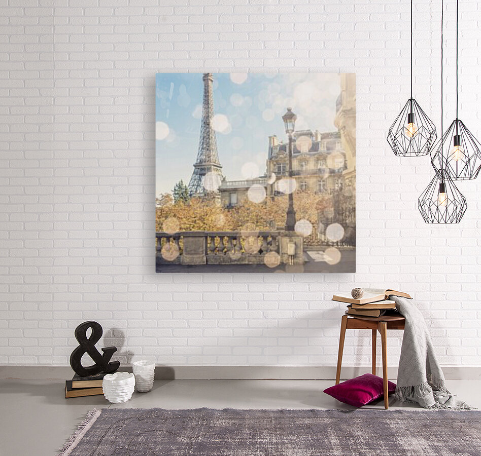  Beautiful Paris Reproduction