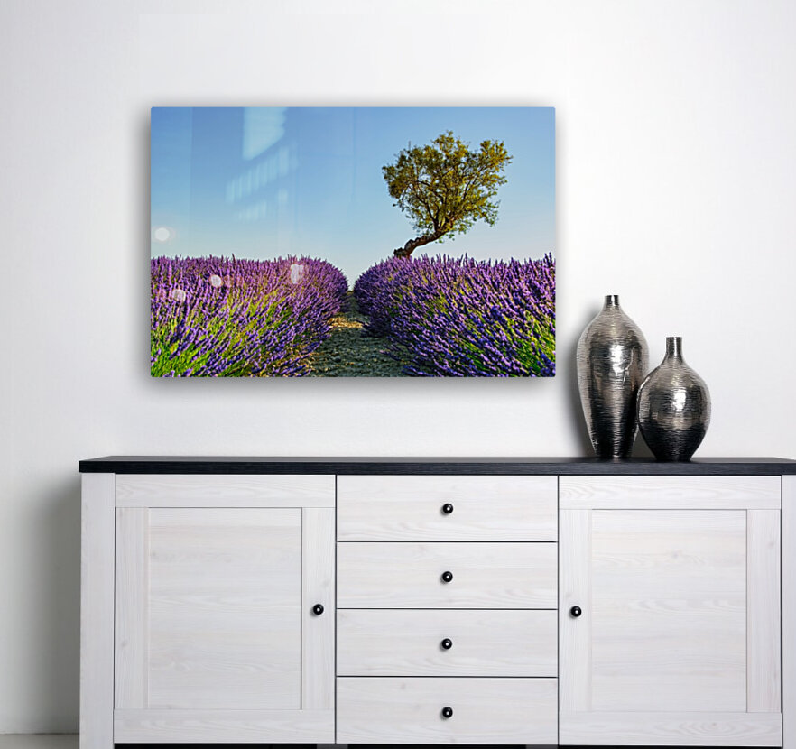 Provence Reproduction
