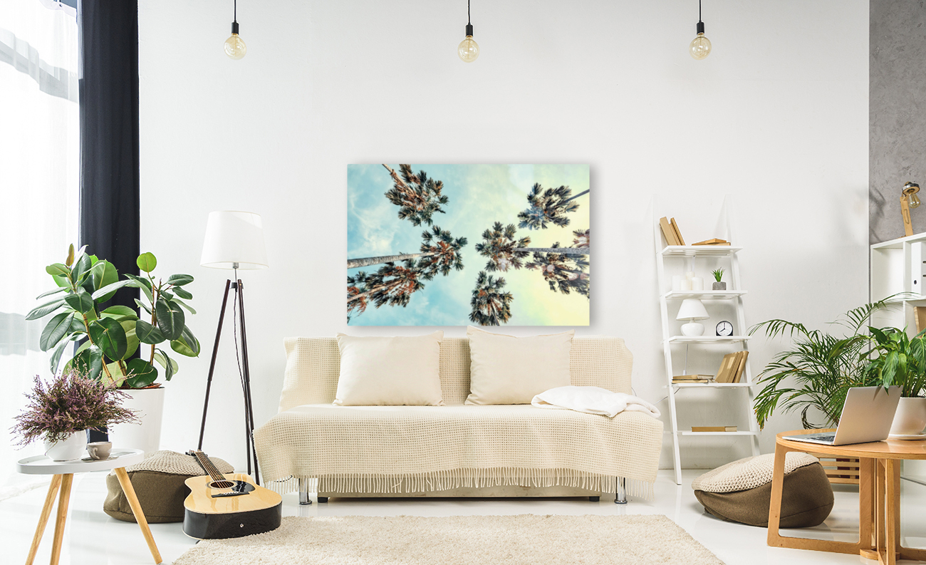 Palm trees Reproduction