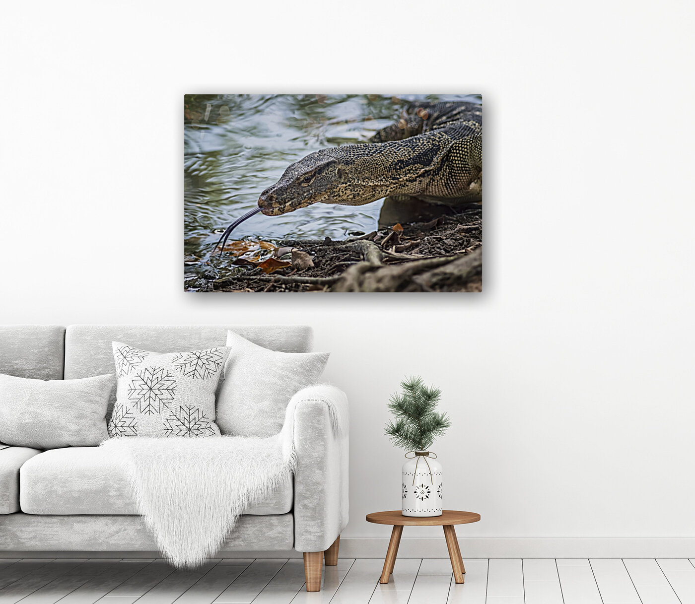 Monitor Lizard Reproduction