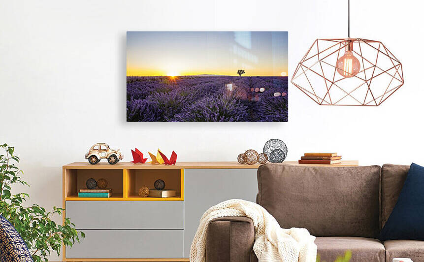 Lavender by Manjik Pictures